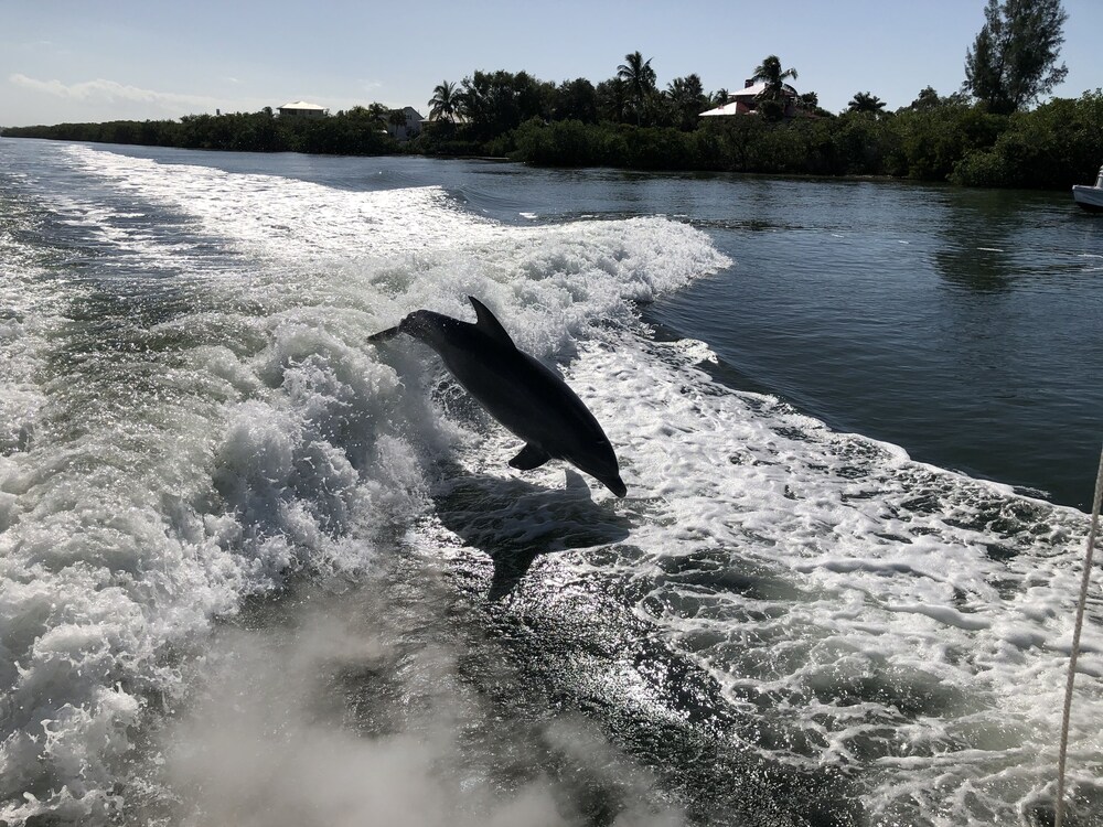 LUX 84’ YACHT<br>PREMIER HOST<br>BRAND NEW INTERIORS<br>WATER TOYS AND ADD ON CHARTERS<br><br><br>