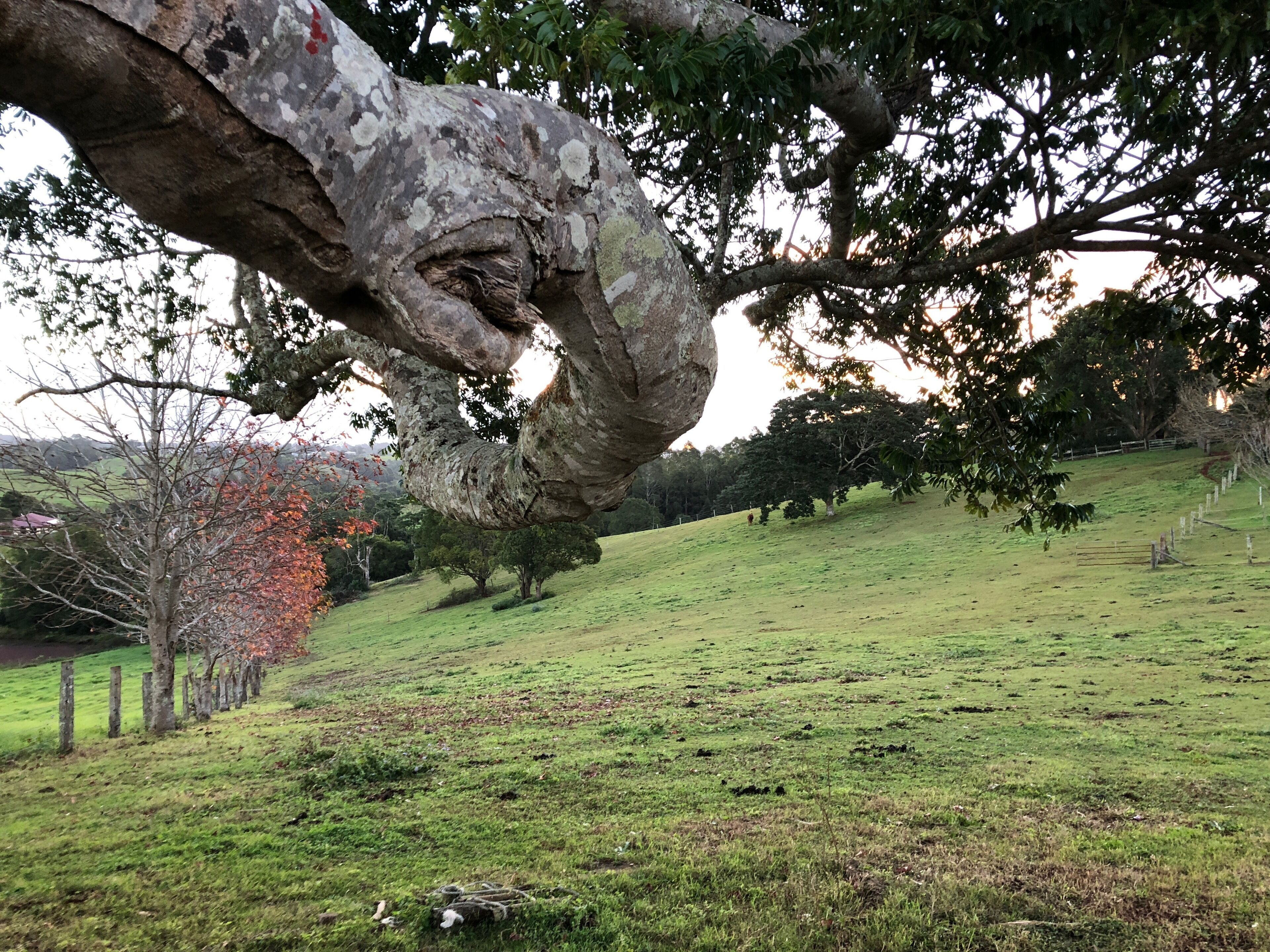 Historic 100yo Chapel and Private Homestead sleeping 8-10