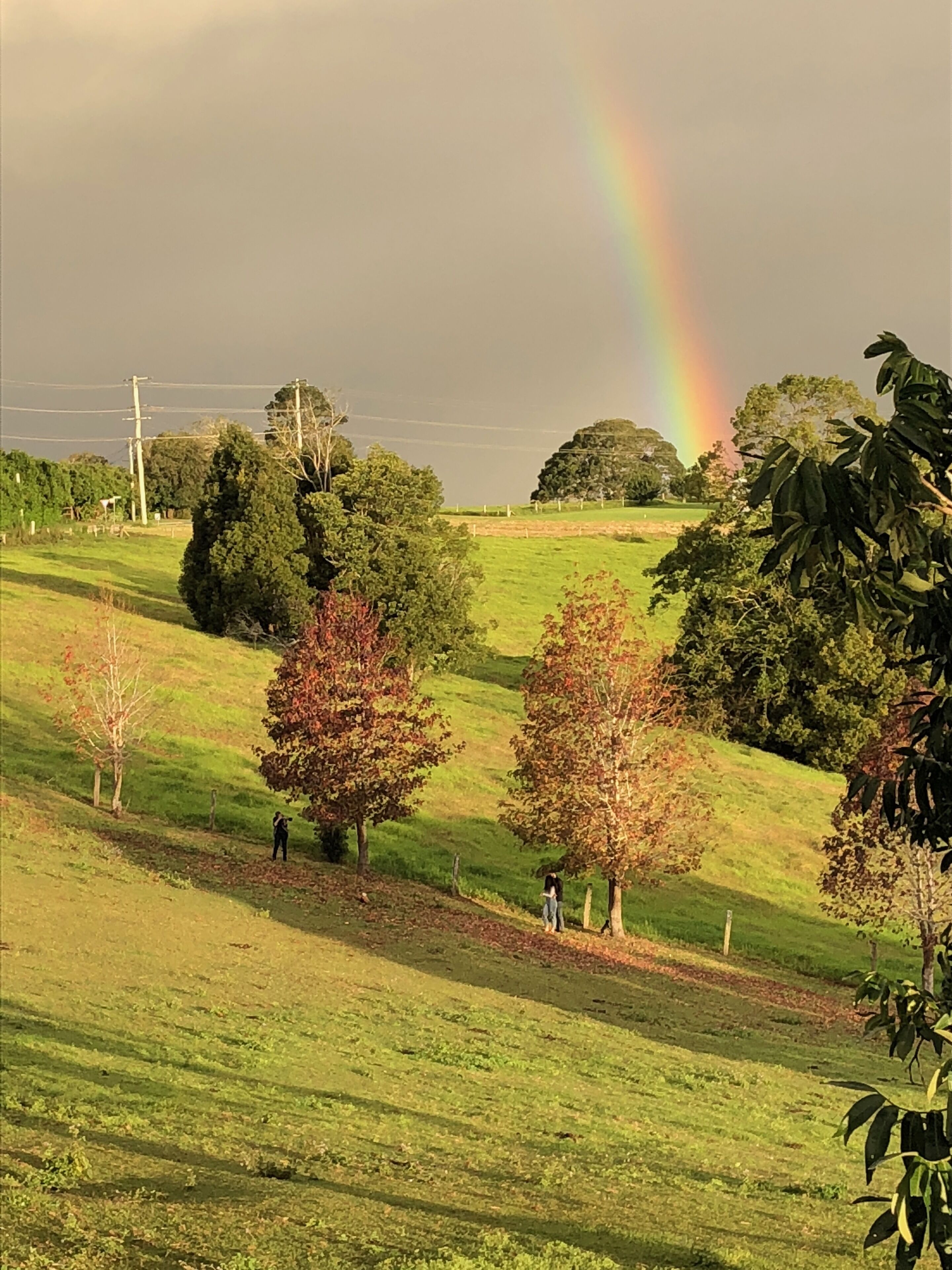 Historic 100yo Chapel and Private Homestead sleeping 8-10