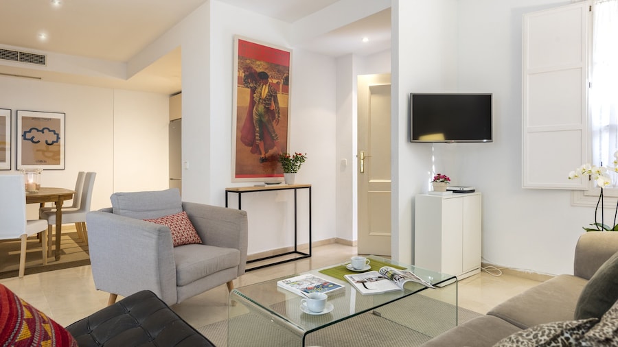 Cozy and Centrally Located 1 BD Apartment. Conde de Ibarra