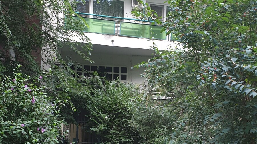 Studio Park
