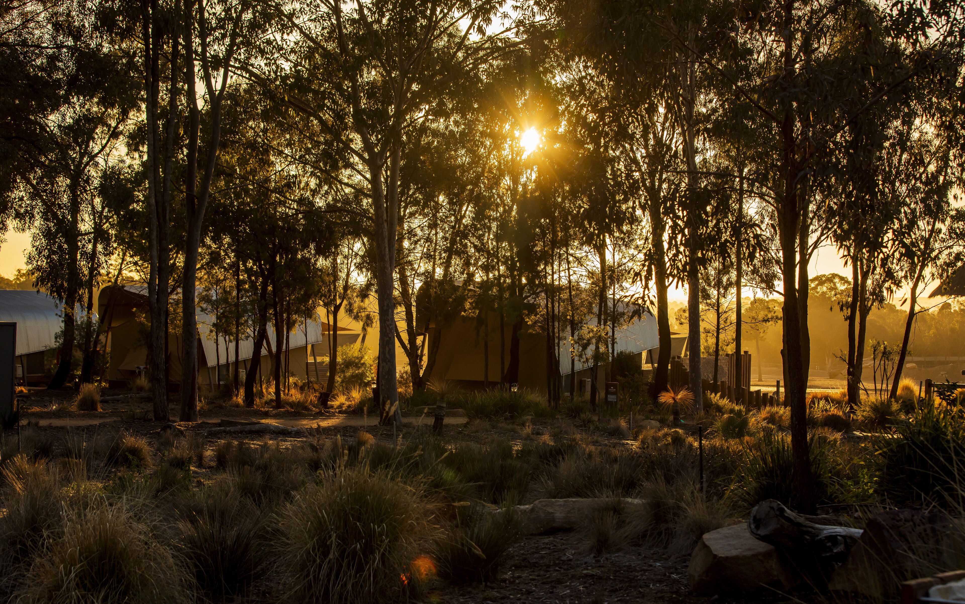 Zoofari Lodge at Taronga Western Plains