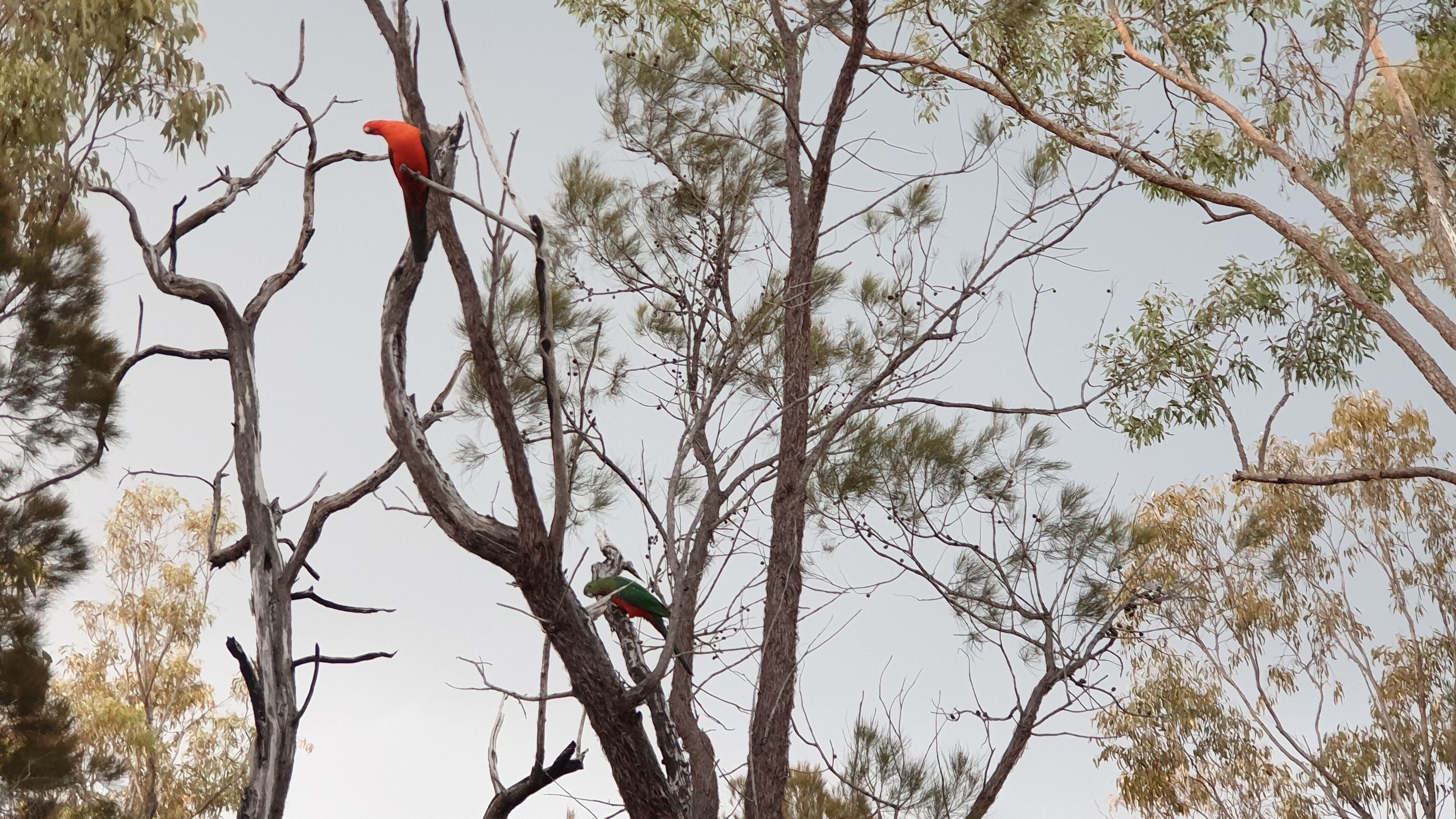 Outback Luxury Glamping Container Home Tiny House With Private Camping Ground