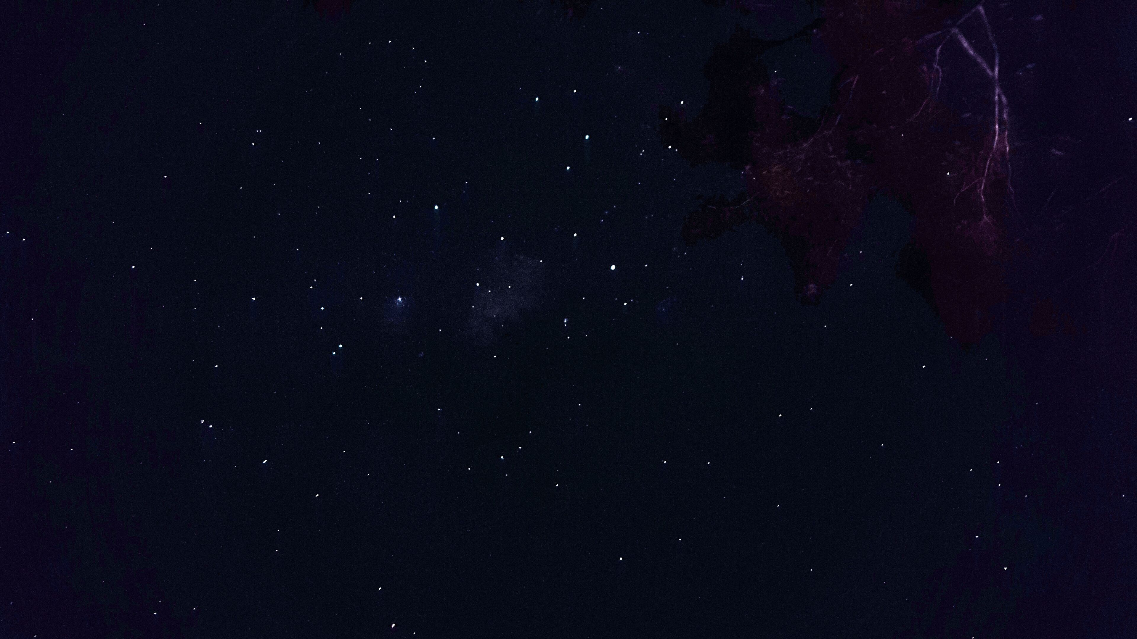 Outback Luxury Glamping Container Home Tiny House With Private Camping Ground