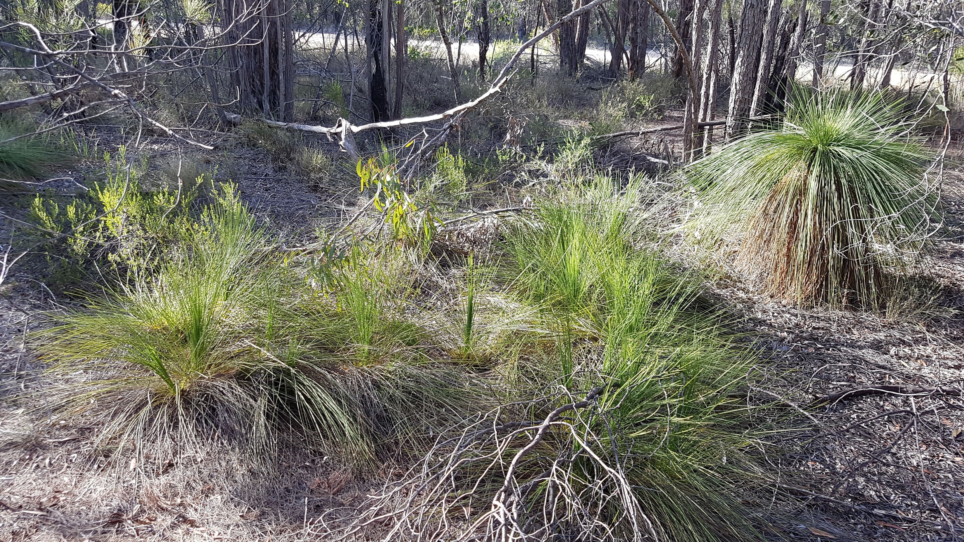 Outback Luxury Glamping Container Home Tiny House With Private Camping Ground