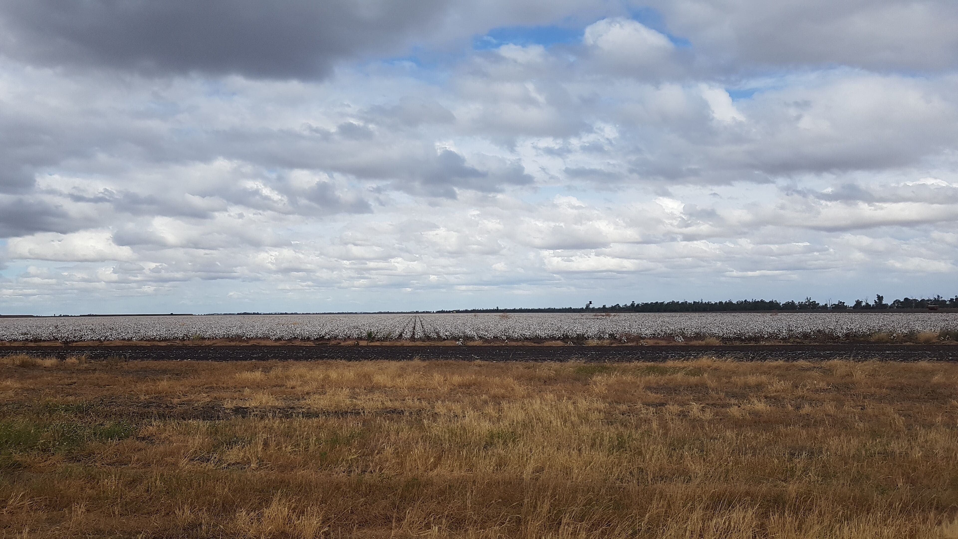 Outback Luxury Glamping Container Home Tiny House With Private Camping Ground