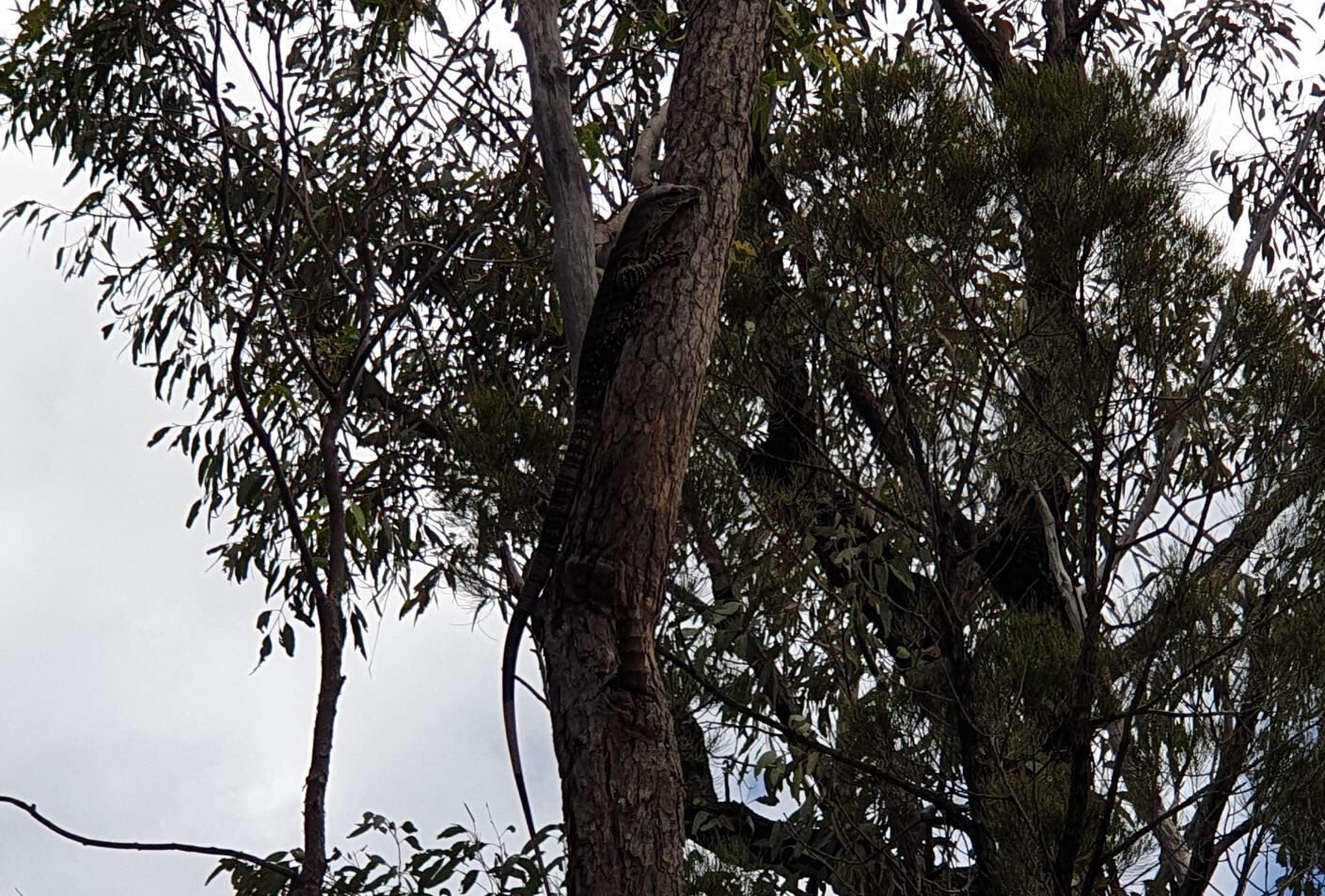 Outback Luxury Glamping Container Home Tiny House With Private Camping Ground