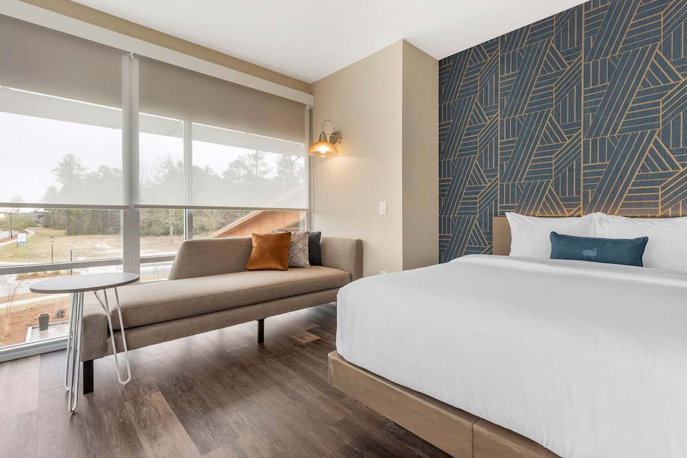 Cambria Hotel Summerville Charleston in Summerville Best Rates