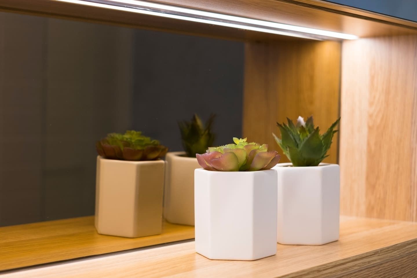 Relaxing Cozy One Bedroom Apt in South Bank