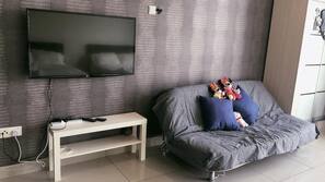 Flat-screen TV