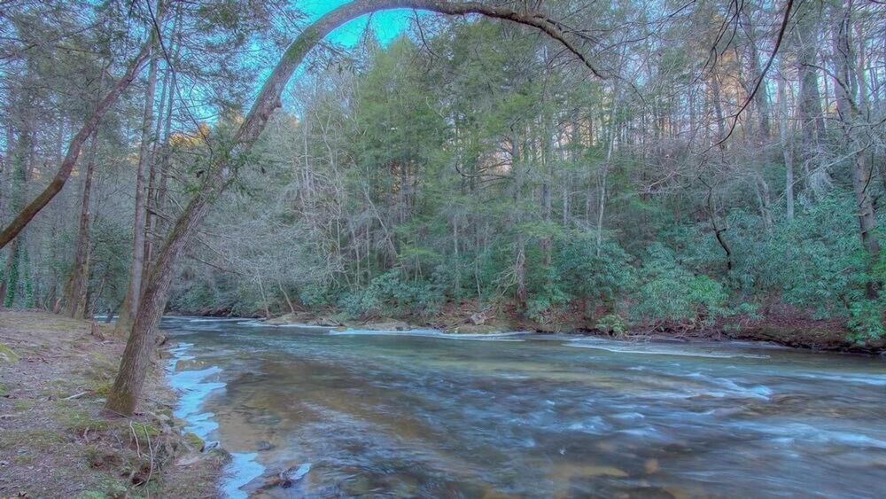 Riverbend Cottage Pet Friendly Riverfront Private Deck on the River Deals & Reviews