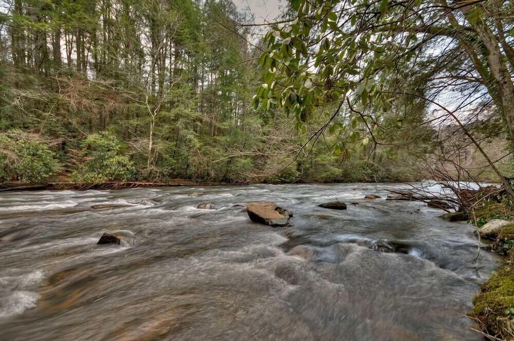 Riverbend Cottage Pet Friendly Riverfront Private Deck on the River Deals & Reviews