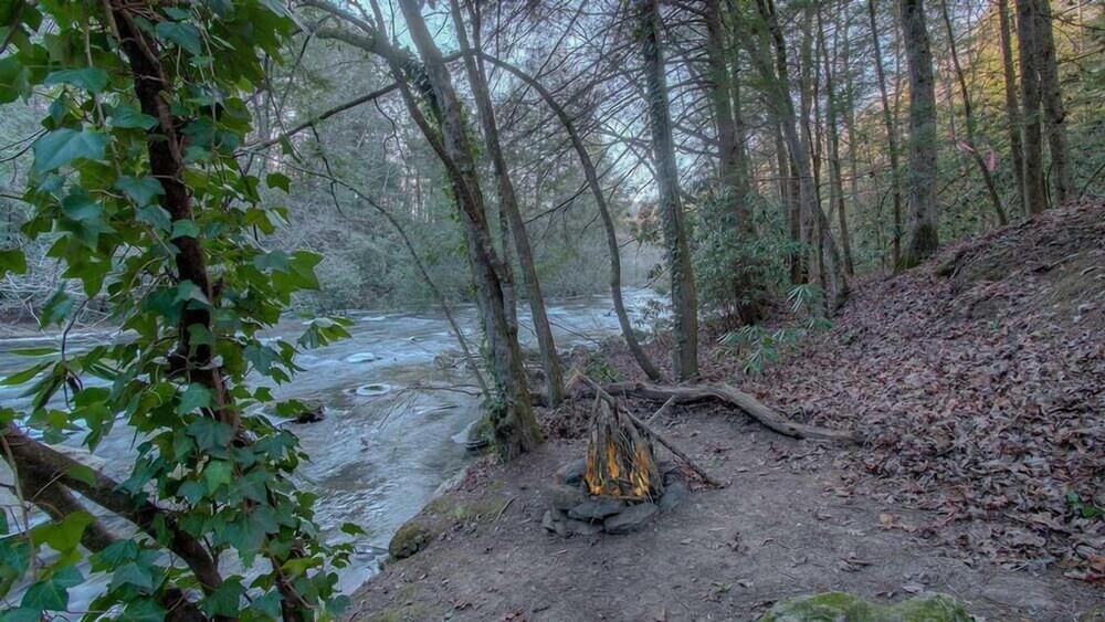 Riverbend Cottage Pet Friendly Riverfront Private Deck on the River Deals & Reviews