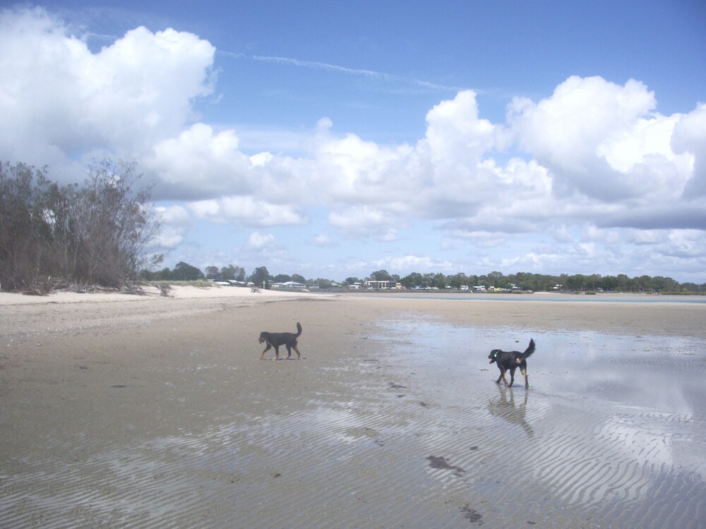 Beachfront pet and wheelchair friendly house Deals & Reviews (Toogoom