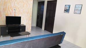 Flat-screen TV