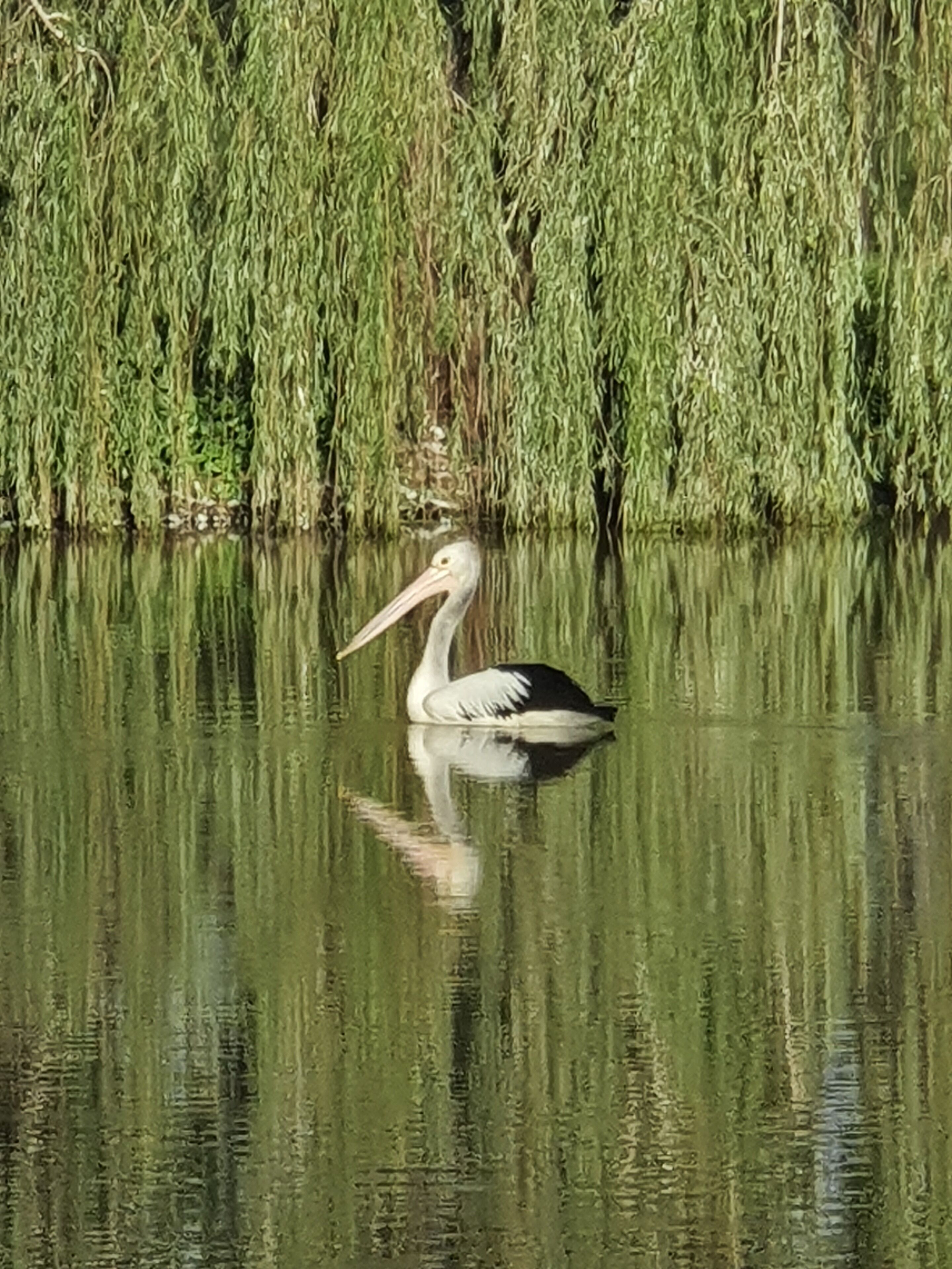 VANBERY COTTAGE HOST FARM