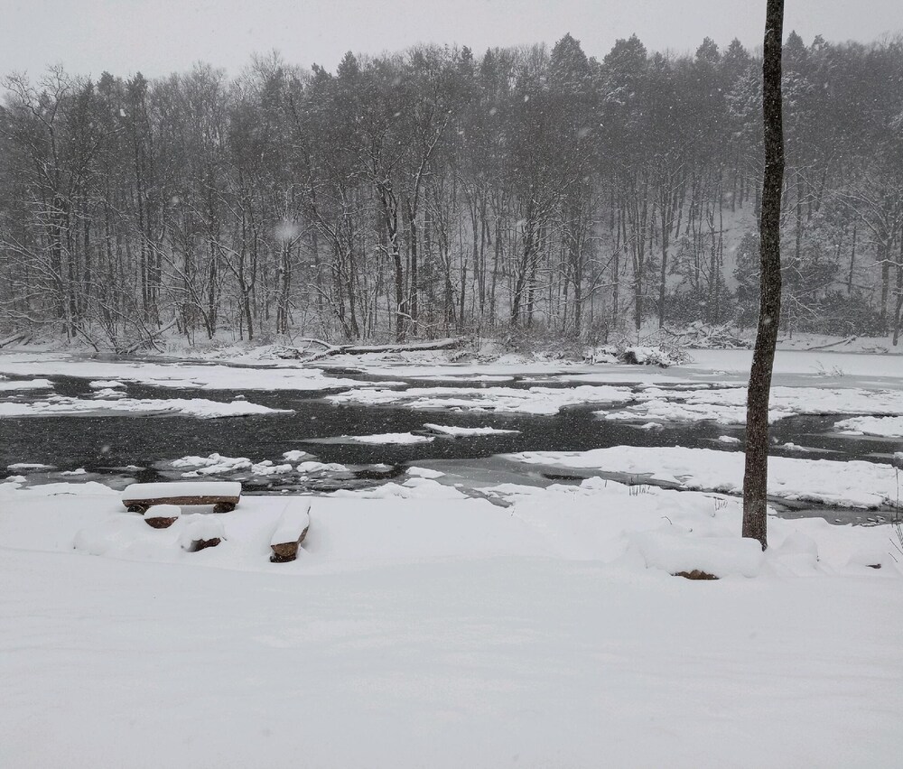 Warm & inviting,  Family oriented cabin on the creek.