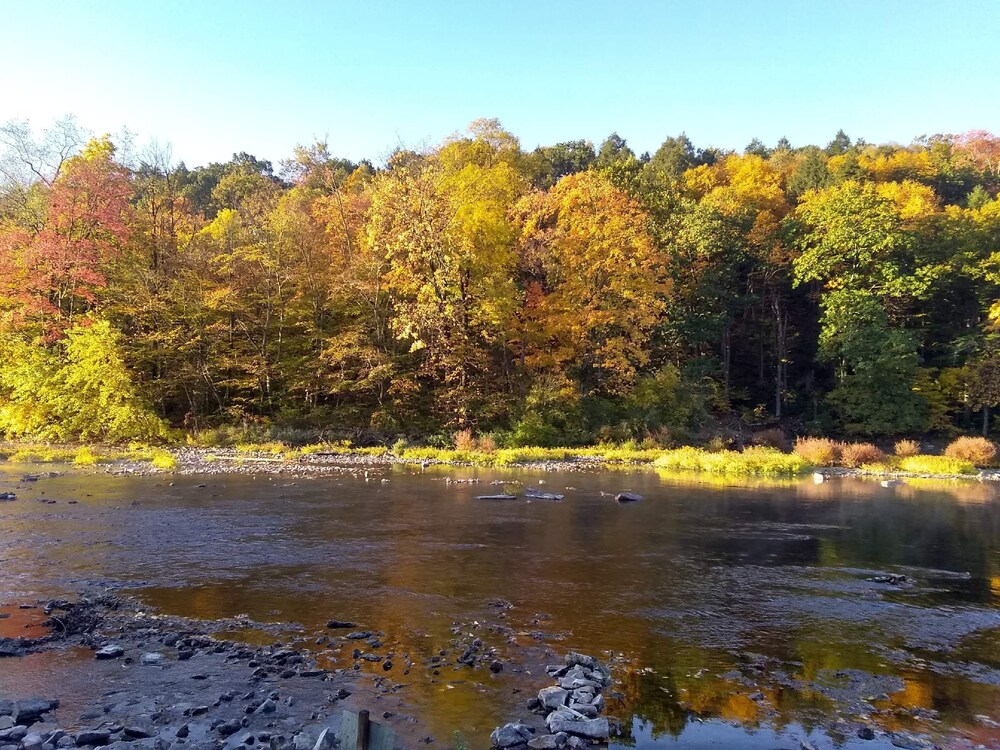 Warm & inviting,  Family oriented cabin on the creek.