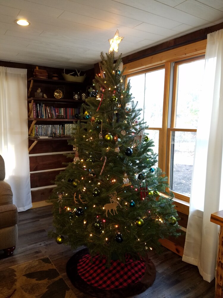 Warm & inviting,  Family oriented cabin on the creek.