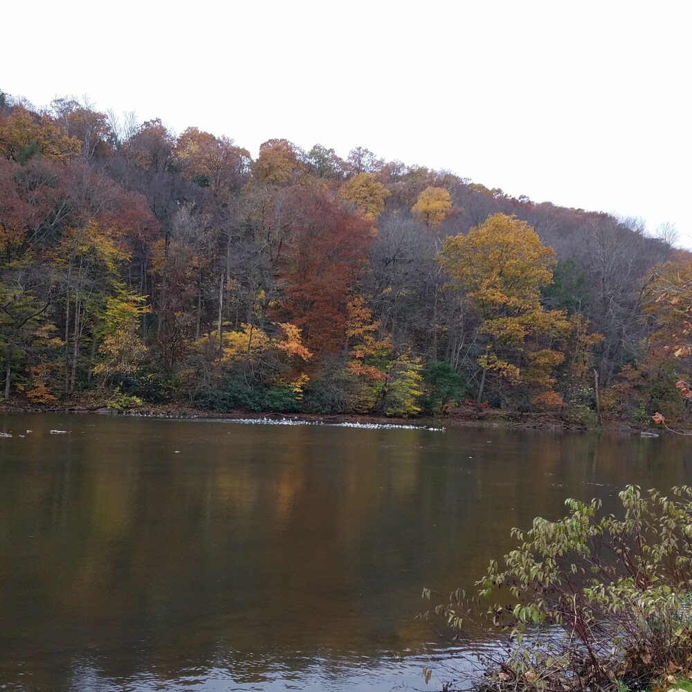 Warm & inviting,  Family oriented cabin on the creek.