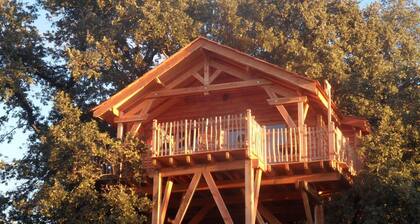 Cabane d'hôtes avec Spa Aura Cabana