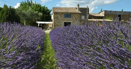 Mas de L'Amme