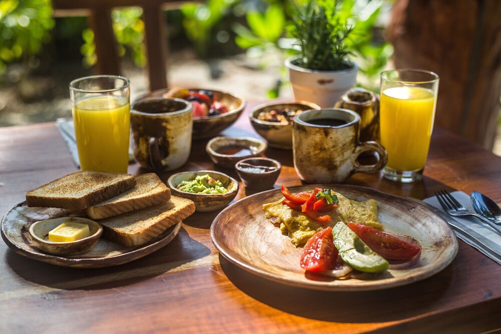 Zenses Wellness and Yoga Resort Adults Only in Tulum Best Rates