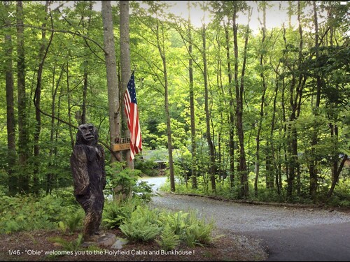 Best Cabins In Erwin For 2020 Find Cheap 60 Cabins Rentals