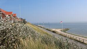 Vlak bij het strand