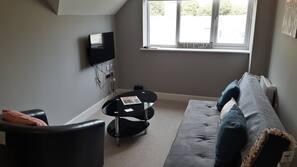 Flat-screen TV