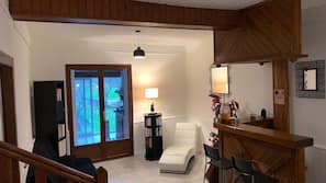 TV, fireplace, toys, books