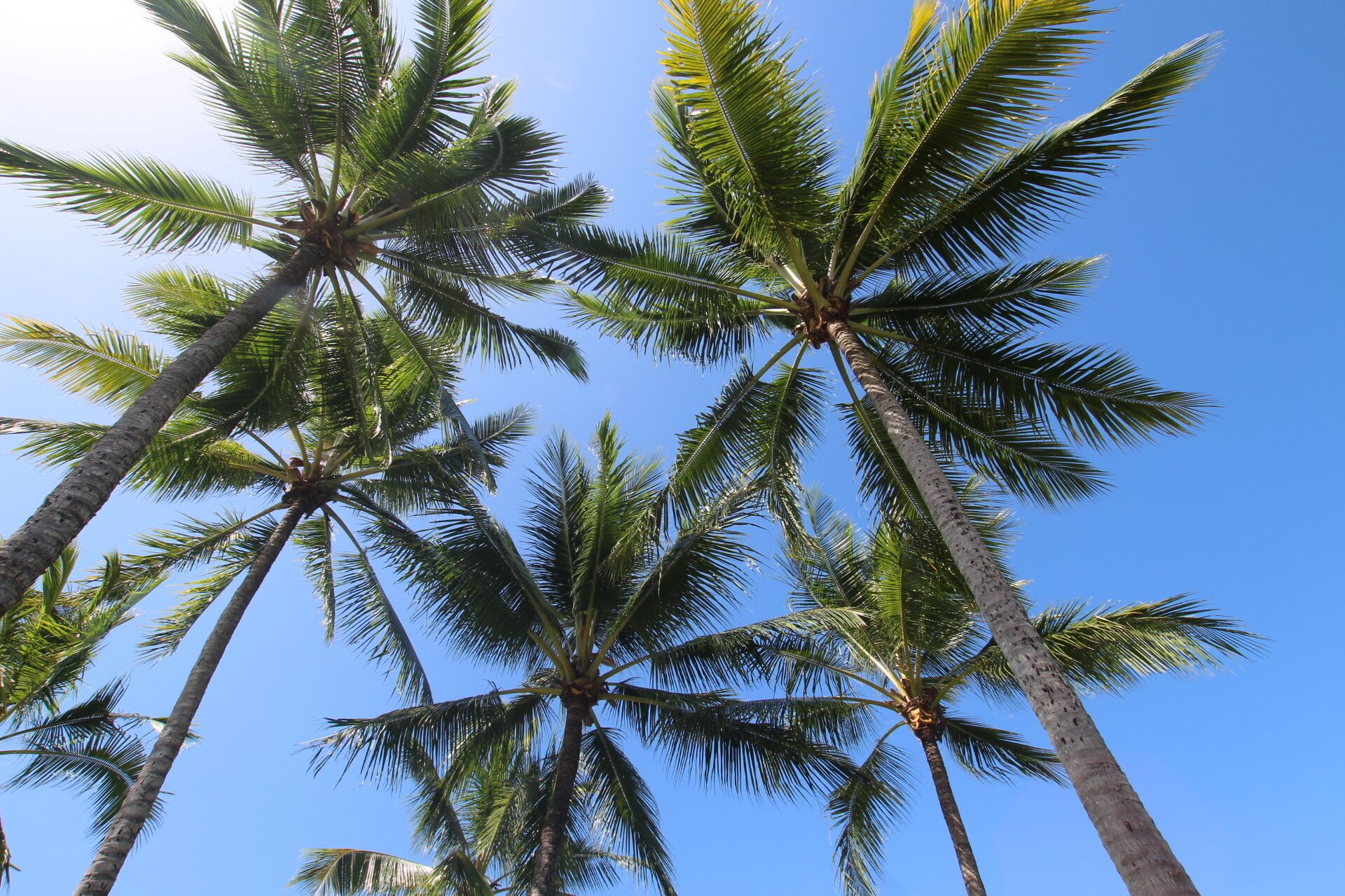 Luxury PoolSide Apartment In Beachfront
