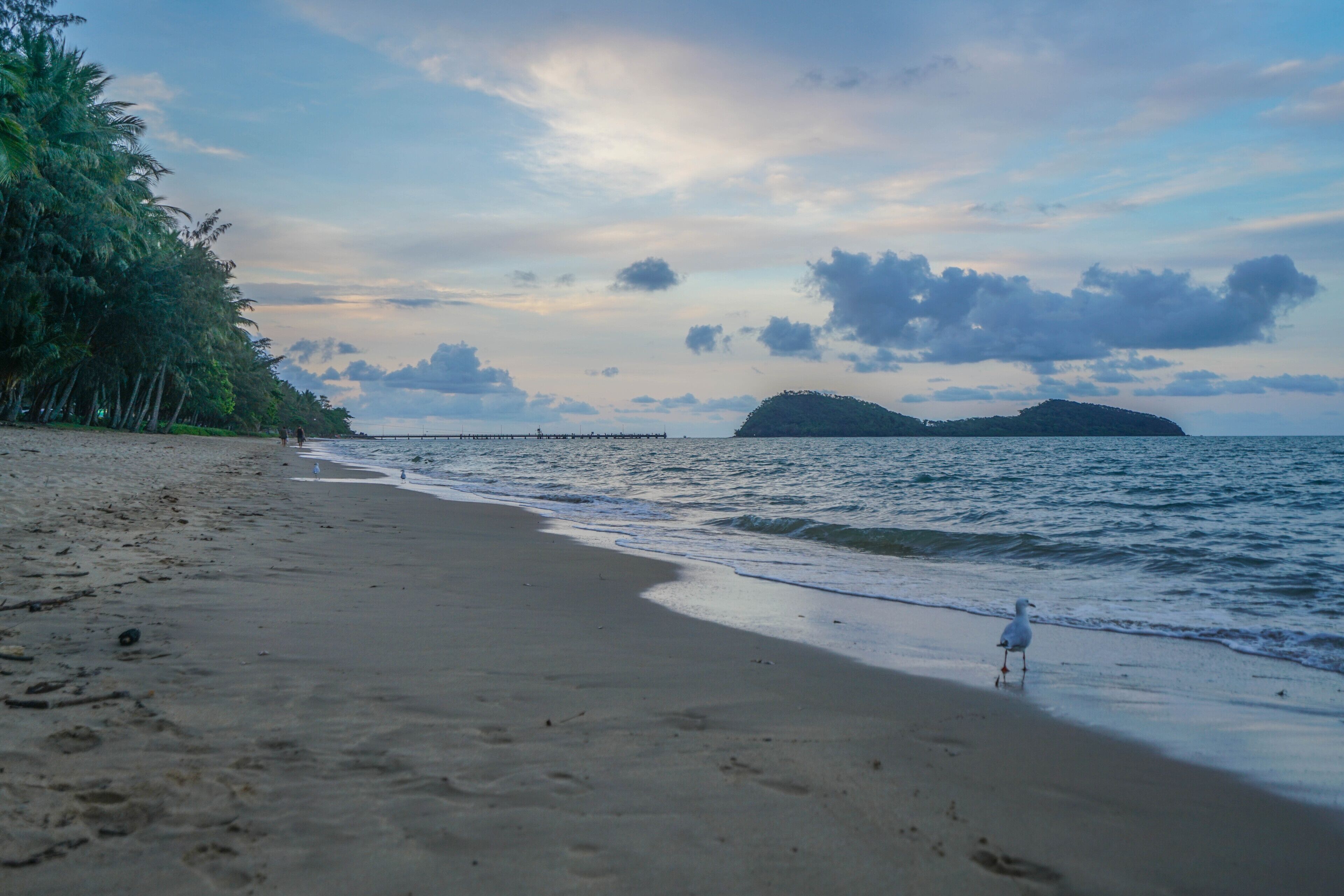 Rare! Modern Unit w/ Private Fenced garden Close to The Beach PC3