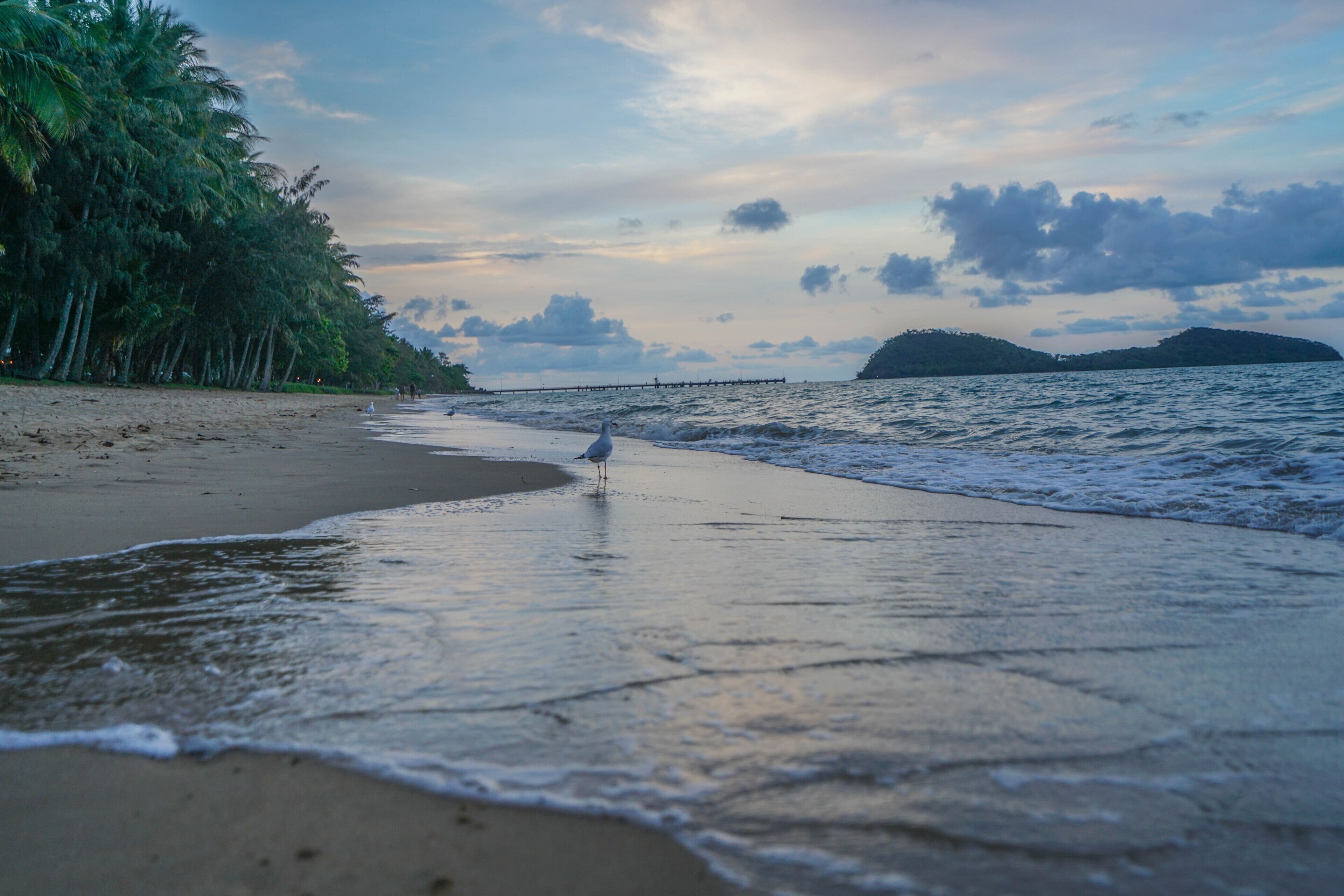 Rare! Modern Unit w/ Private Fenced garden Close to The Beach PC5