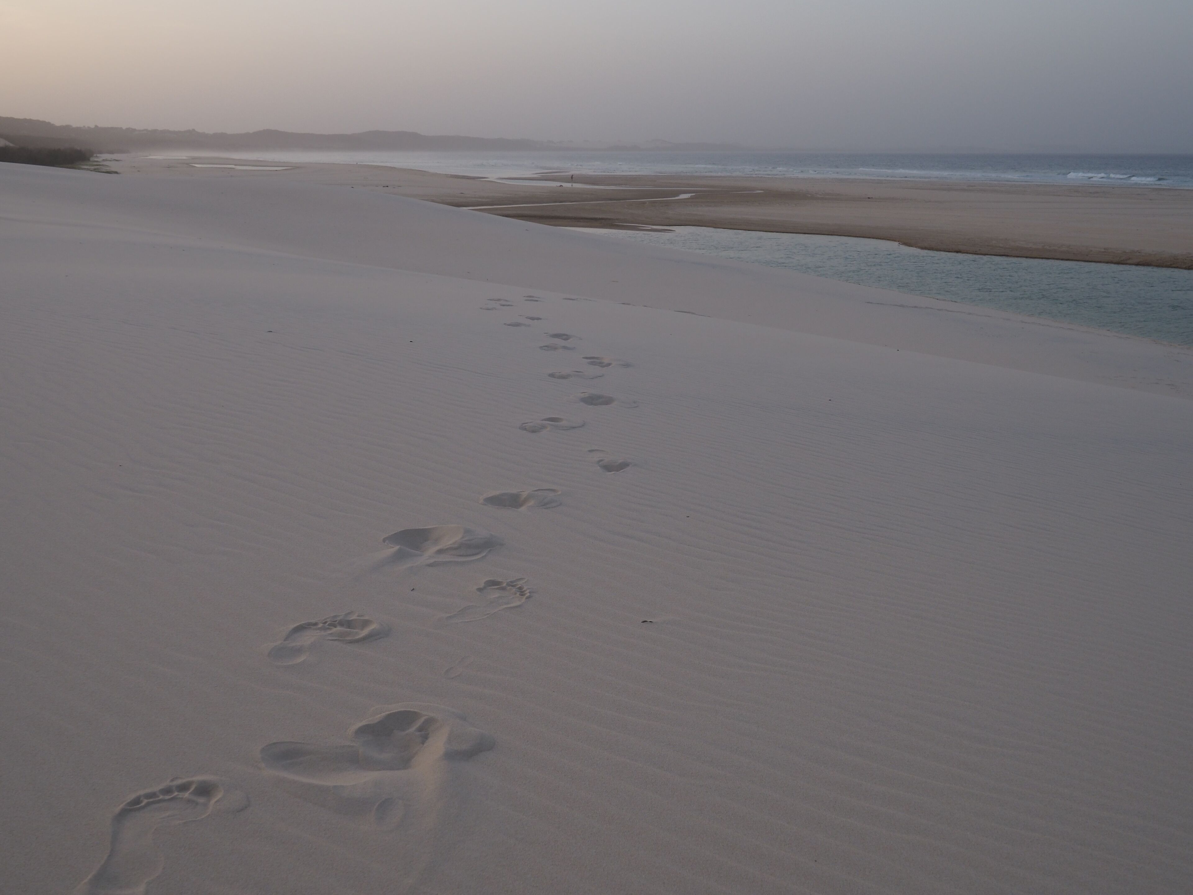 Beachside Pole Home - Orchid Beach Fraser Island