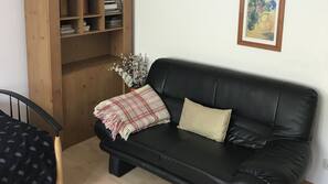 Flat-screen TV