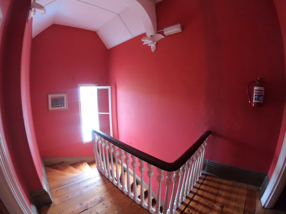 Foto - Big Blue Backpackers