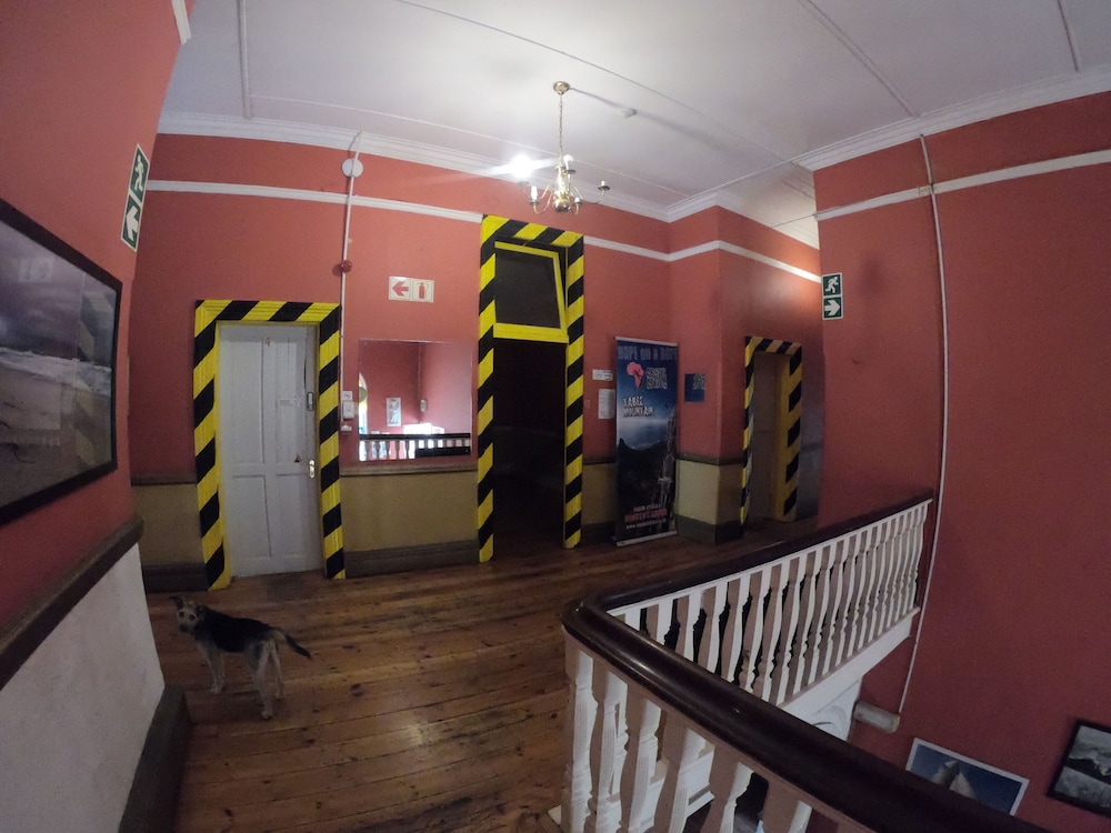 Foto - Big Blue Backpackers