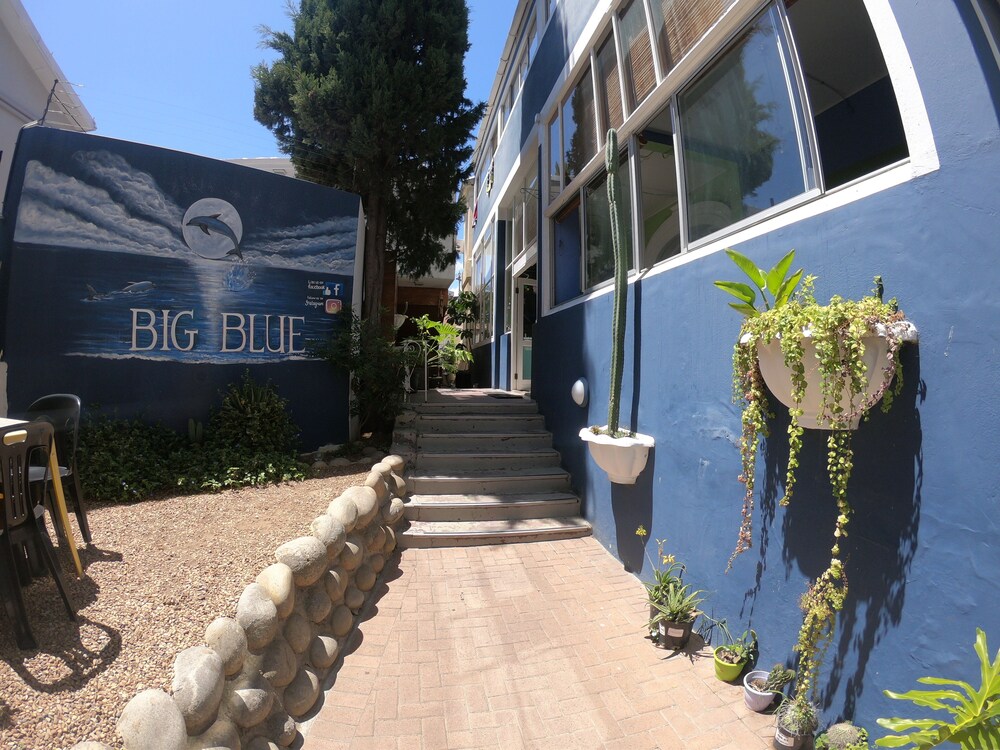 Foto - Big Blue Backpackers