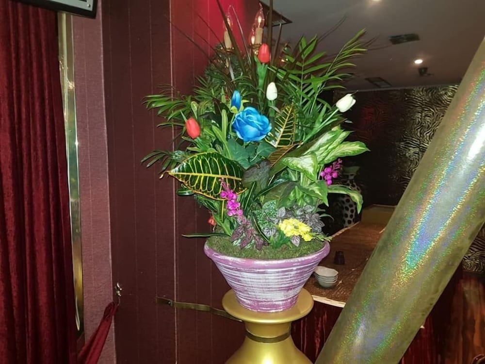 Foto - Hotel Rosa Blu