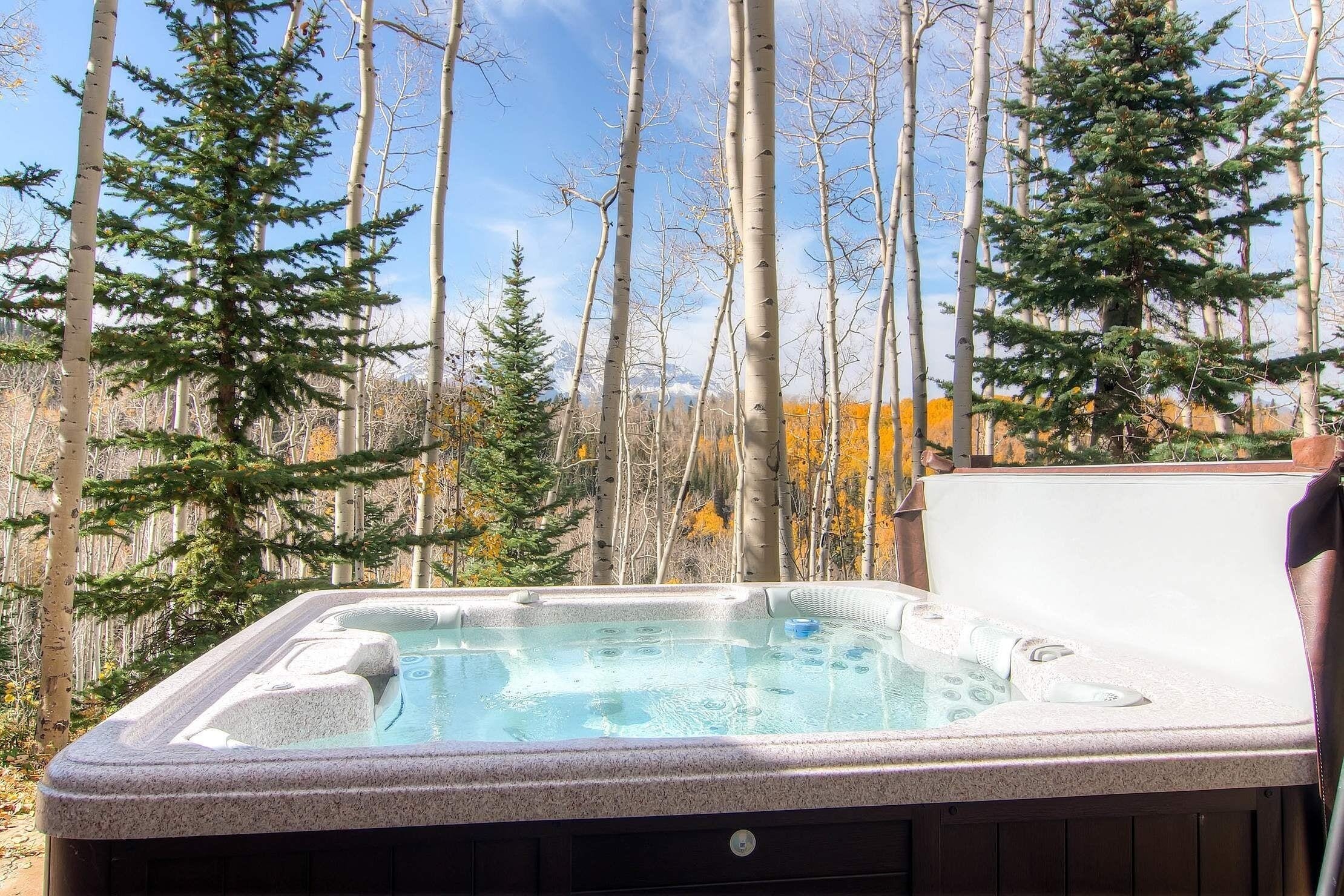 Powder Place 5 Bedroom Home in Telluride, United States