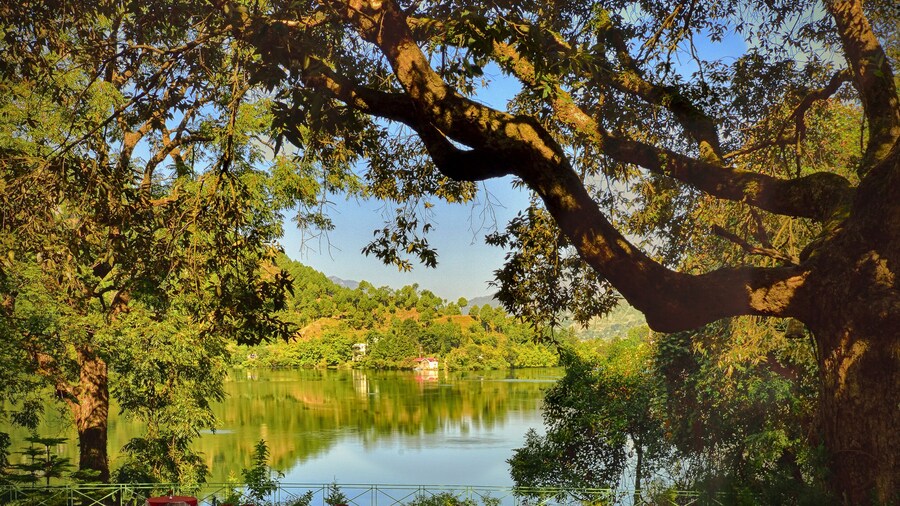The Lake Resort