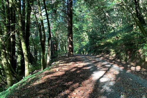 Visit Cape Blanco State Park In Oregon Coast Expedia