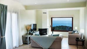 Flat-screen TV, fireplace, video-game console
