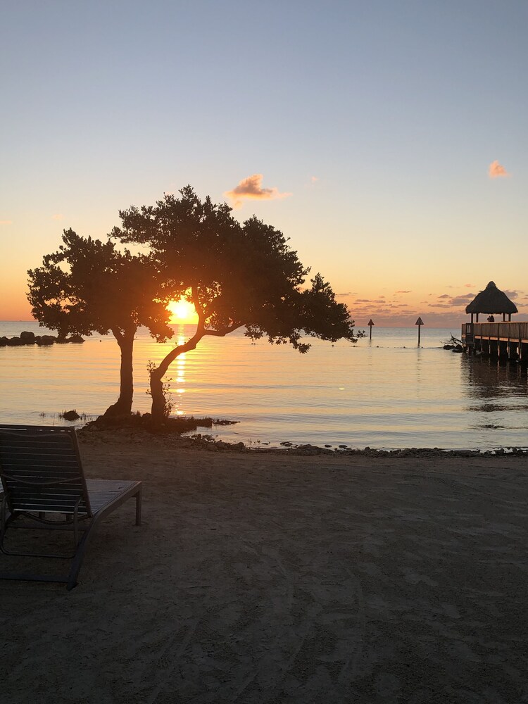 Ocean front 1/1,AMAZING OCEAN/MARINA VIEWS,Tavernier/Key Largo Fl. Florida Keys