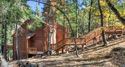 Forest Glen-yw
