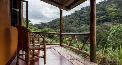 Gorilla Valley Lodge
