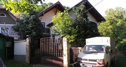 Chalet With 4 Bedrooms in Sibiel, With Wonderful Lake View, Furnished Garden and Wifi