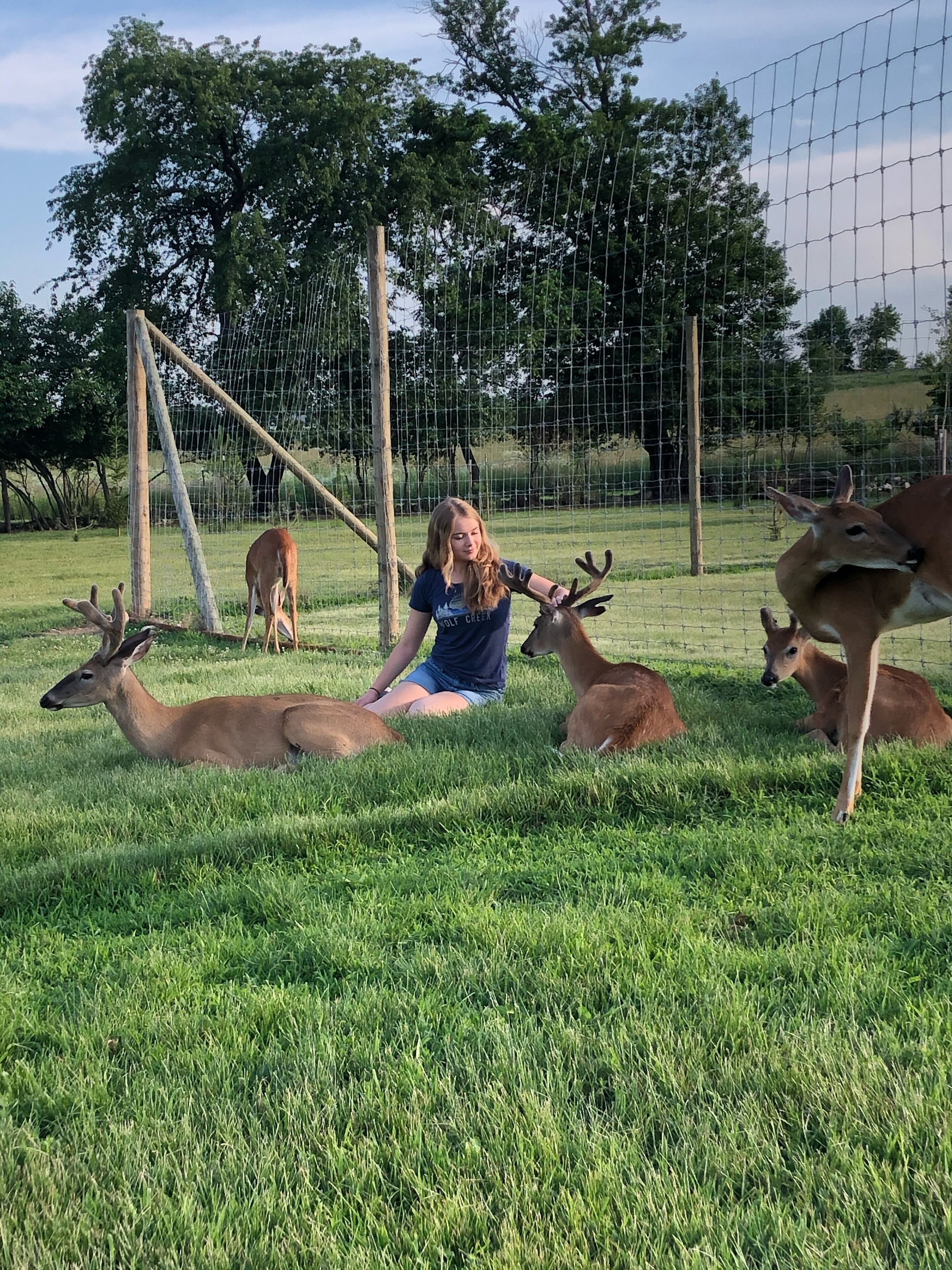 Private  lower level house with a kitchen . Come and visit the 🐺🦌🦬🦢🐏 in Sheboygan, United States