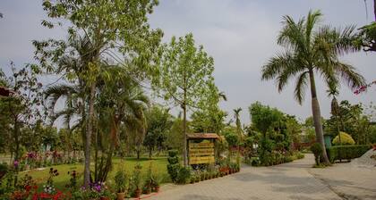 Jungle Nepal Resort